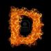 David Lanyi - Facebook
