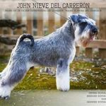 David lao navarro - @david_lao_del_carreron - Instagram