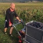 David Laporte - @laportedavid03 - Instagram