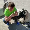 David Laporte - @david.laporte7 - TikTok