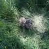 davidlaporte912 - @davidlaporte912 - TikTok