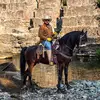 David Lara - @davidlara1616 - TikTok