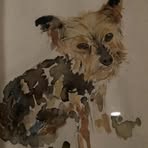 David Larkin - Facebook
