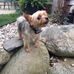 David LaRue - Facebook
