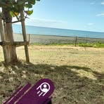 David Lasserre - Facebook