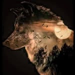 David Lattimer - @ldog0935 - Instagram