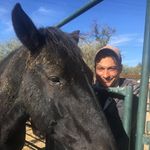 David Lavin - @heartofthehorsetucson - Instagram