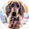 lawryd12 - @davidlawry - TikTok