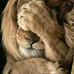 David Lazaro - Facebook
