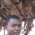 David Le Studieux - Facebook