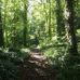 David Leadbetter - Facebook