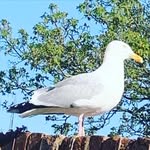 David - @david_leamings_999 - Instagram