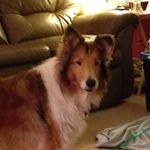 David L Leasure - @davidlleasure - Instagram
