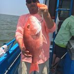 David Leavell - @david.leavell.9 - Instagram