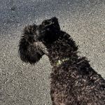 David Leavitt - @dlcitizen - Instagram