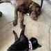 David Leavitt - Facebook