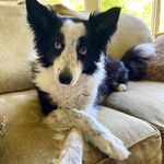 David Leavitt - @dvdleavitt - Instagram