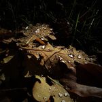 David Ledger - @david_ledger - Instagram
