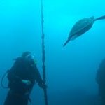 David Ledger - @scubamasterdave - Instagram