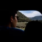 David Lee - @david.chan.lee - Instagram