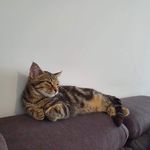 David Lefèvre - @pioupioupioupiou300 - Instagram