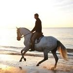 David Lefèvre - @lefevre5242 - Instagram