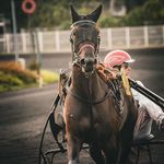 David Lefèvre - @ecurie_david_lefevre_ - Instagram