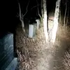 ghost hounders - @davidcodyleffler - TikTok