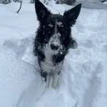 David Le - @david.lefort.3 - Instagram