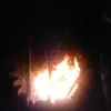 David Lefort - @user7783170786740 - TikTok