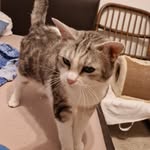 David Leidinger - @david.leidinger96 - Instagram