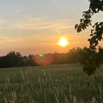 David Leinen - @davidleinenherford - Instagram