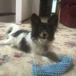 David Sherry Leinen - @davidsherryleinen - Instagram