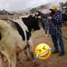David Lema - Facebook