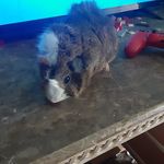 David Lemley - @david.lemley.1420 - Instagram