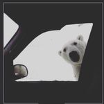 david lemme - @davids.privat.shit - Instagram