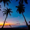 David Lemmons - @david.lemmons7 - TikTok