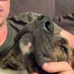 David Lemmons - @lemmons.life - Instagram