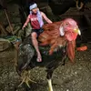 lesleydavid19 - @lesleydavid19 - TikTok