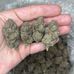 Weeds available David Lesley - Facebook