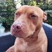 David Leten - Facebook