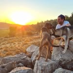 David Levisohn - @davidlevisohn - Instagram