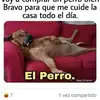David Licona - @davidlicona05 - TikTok