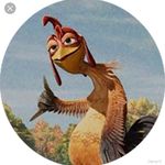 David liddle - @davliddle4 - Instagram