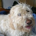 David Liddle - @david.liddle.587 - Instagram