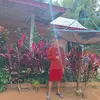 David - @david.lino890 - TikTok