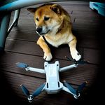 David Lintz - @droned_by_david - Instagram