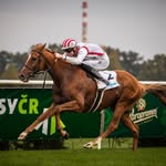 David Liška - @_david.liska - Instagram