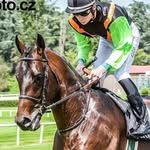 FANPAGE - @david_liska_fanpage - Instagram