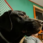 david - @david.listerine.4 - Instagram